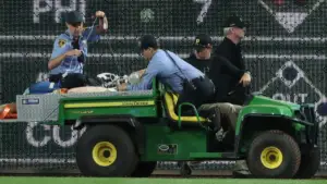 Friend of Pirates fan who fell over PNC Park wall facing alcohol furnishing charges